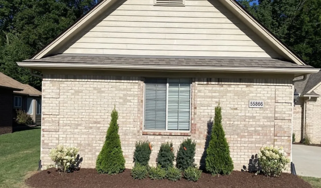 Foundation bed with fresh mulch and new plantings after installation