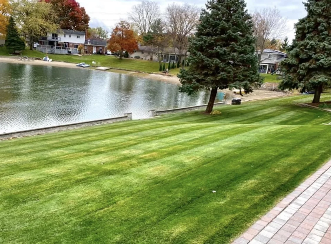 Striped lakefront lawn beside a paver walkway