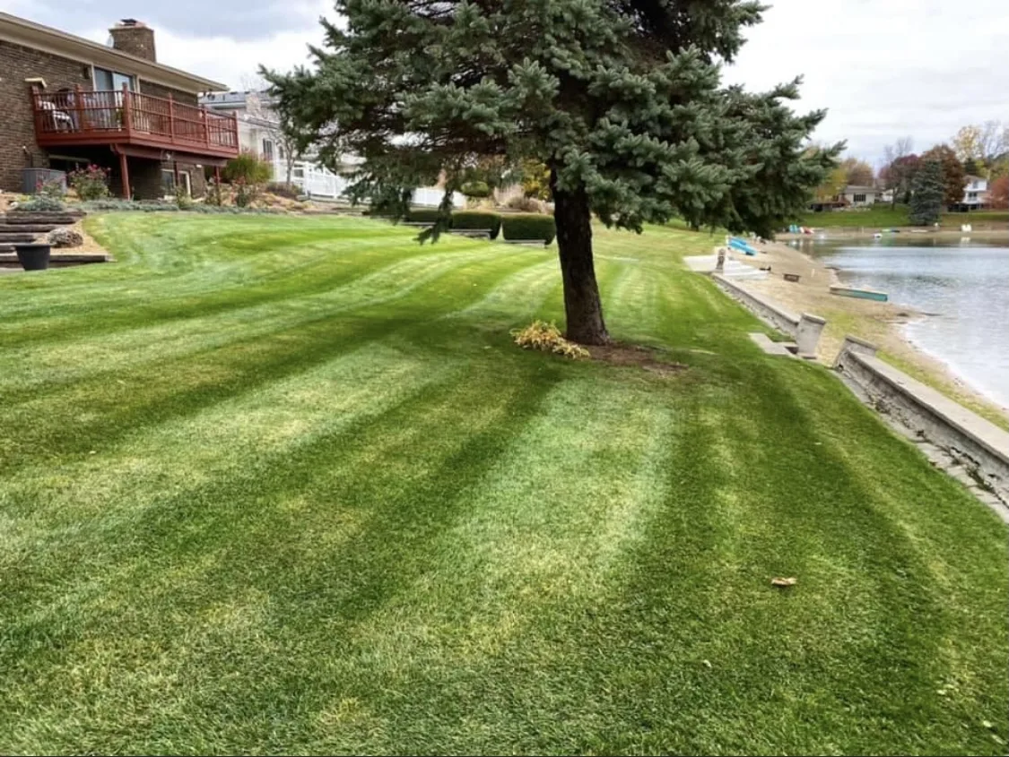 Striped lakeside lawn along a seawall after a weekly mow