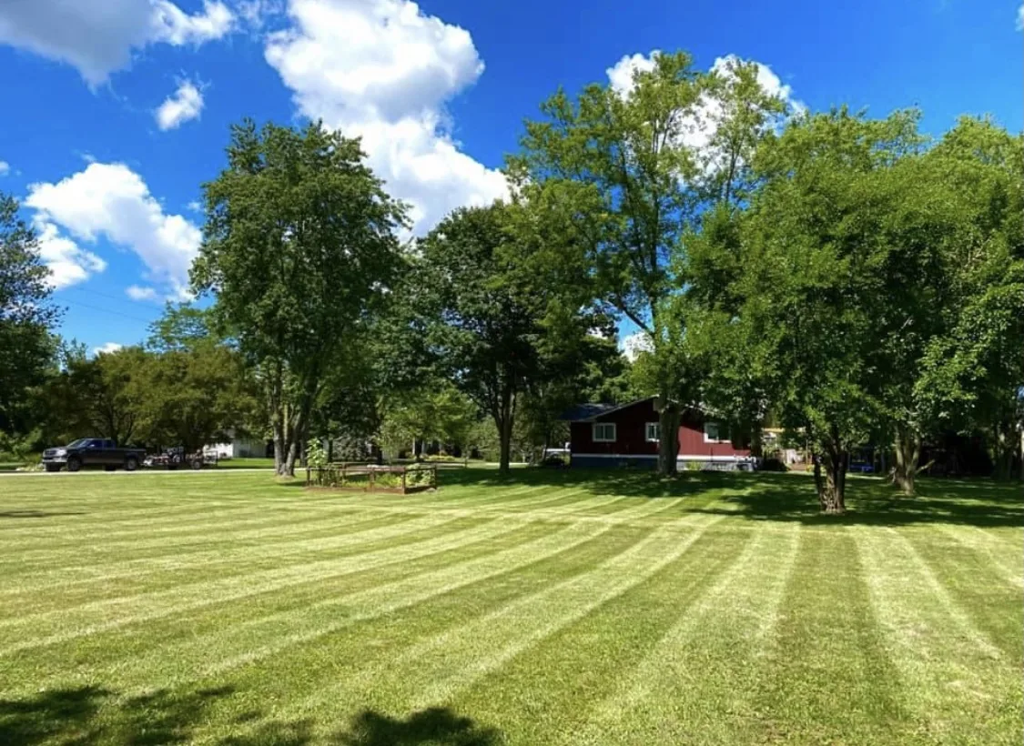 Freshly striped lawn cut by Big Dawgs Lawn & Landscape in Romeo, Michigan